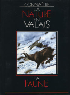 La faune